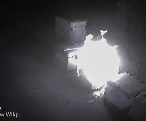 Podpalacz z Gorzowa zatrzymany