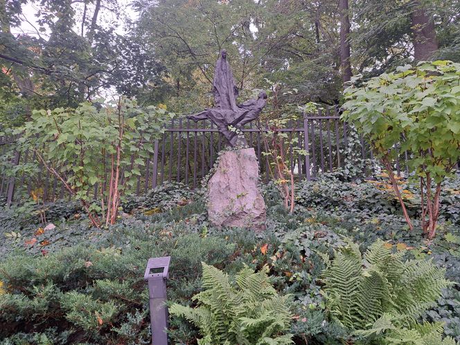 Ogród za kościołem św. Józefa w Krakowie