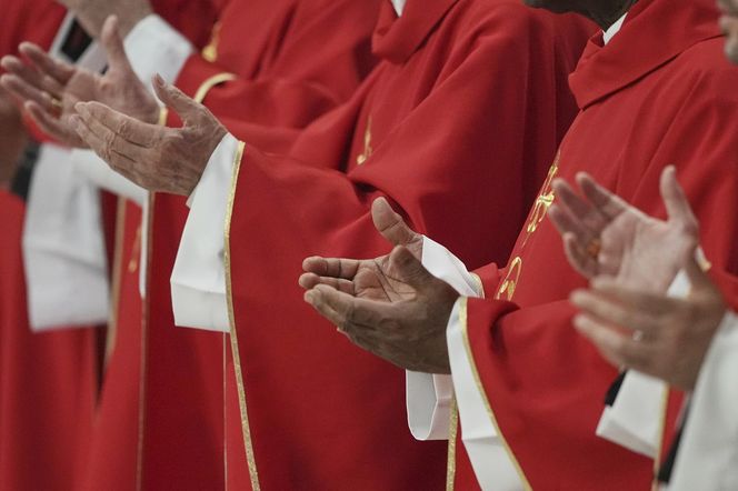 Są przecieki przed konklawe! Kto będzie następnym papieżem?