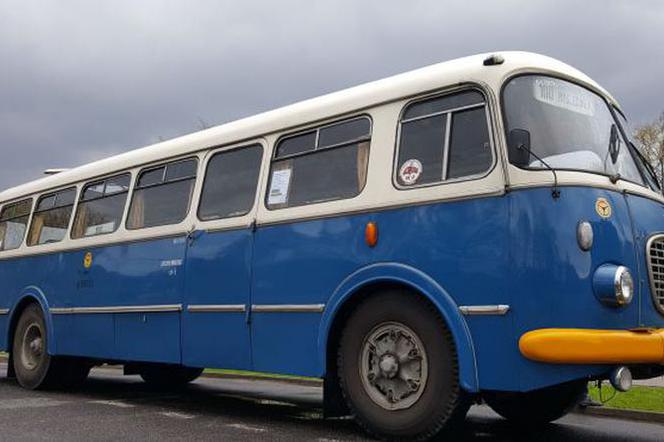 Zabytkowy autobus w Bydgoszczy