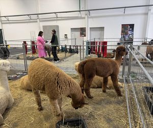 ZooPark w Lublinie. Dzień drugi