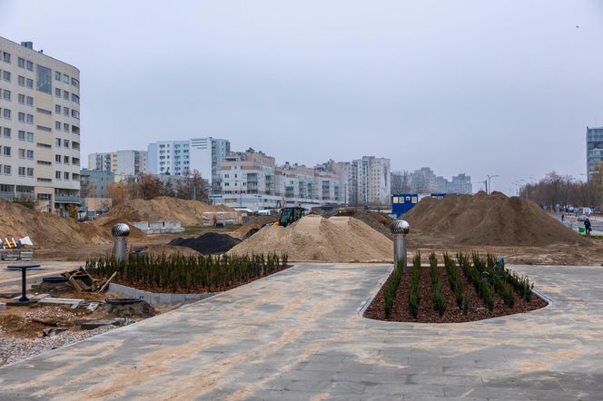 Pierwsze drzewa w parku nad obwodnicą na Ursynowie