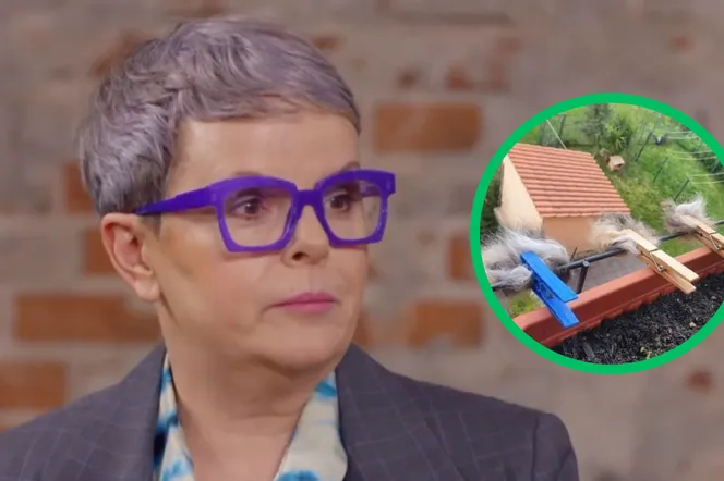 Karolina Korwin-Piotrowska zachęca do wieszania na balkonie sierści pupili. Po co?