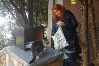 Pomaga bezinteresownie wolno żyjącym kotom w Lesznie od 15 lat. Pani Magdalena i jej podopieczni [ZDJĘCIA]