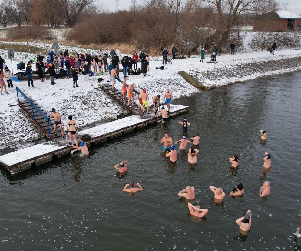 Lubelskie morsy wskoczyły do wody! „To banda cudownych wariatów”
