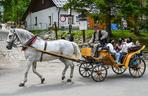 Arabowie szturmują Zakopane. Ten filmik to hit internetu. Dosłownie tak to wygląda