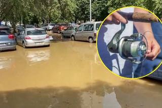 Łowili ryby na zalanym parkingu! Takie rzeczy tylko w Poznaniu [ZDJĘCIE]