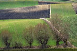 Świętokrzyskie Ponidzie