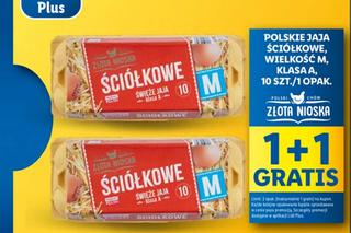 Promocje w Lidlu