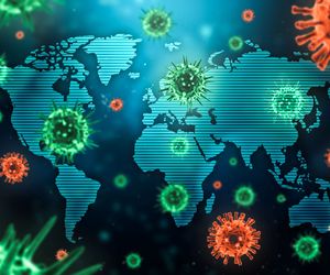 Koronawirus: są nowe zalecenia WHO. Maseczki w biurach, szkołach, klubach fitness