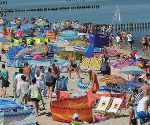 Rozstawiam parawan na plaży, dla bezpieczeństwa swoich dzieci