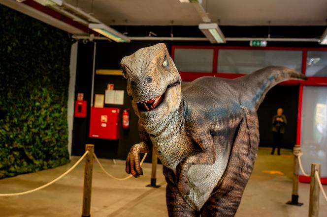Wystawa "Jurassic Adventure" w Warszawie