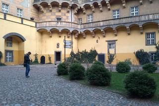 Ten dolnośląski zamek to prawdziwa perełka. Mało kto go zna, a wygląda naprawdę uroczo 