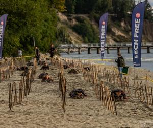 Runmageddon na Arenie Gliwice. Morderczy bieg odbędzie się 10 czerwca. Trwają zapisy