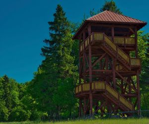 Warmia i Mazury wcale nie są płaskie! Odkryj najwyższą górę regionu i jego tajemnice