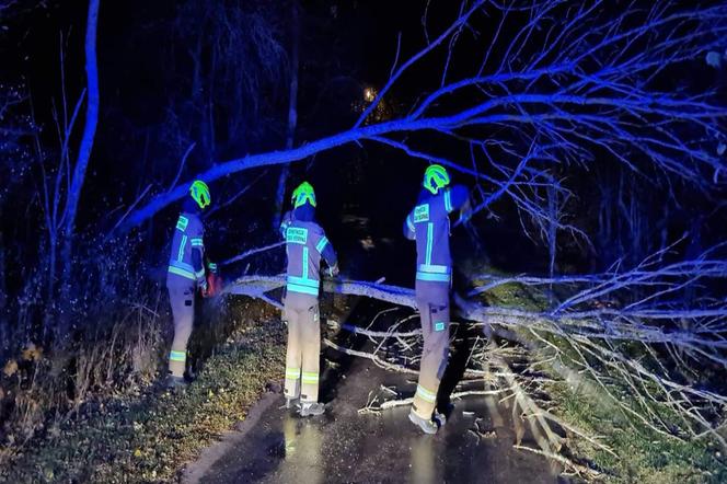 Wiatr do 90 km/h i nagłe ochłodzenie. Pogoda na weekend