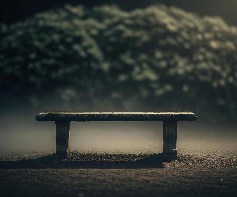 Centralnie położona kamienna ławka, pokryta częściowo mchem, stoi na nierównym, żwirowym podłożu. Długi cień ławki rozciąga się w lewo na pierwszym planie, który jest ciemniejszy i lekko rozmazany. W tle widać rozmyte kontury gęstego, zielonego krzewu lub drzewa, zanurzonego w lekkiej mgle, rozświetlonej z prawej strony delikatnym, ciepłym światłem. Całość utrzymana jest w stonowanej, ciemnej kolorystyce z dominującymi odcieniami szarości, zieleni i brązu, tworząc melancholijny nastrój.