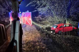 Huknął oplem w drzewo, pień przepołowił auto. Tragedia w Nowym Dworze Mazowieckim