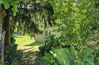 Zabiła Jana krojąc pomidory na przekąskę do wódki