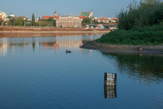 Niski stan Wisły w Warszawie