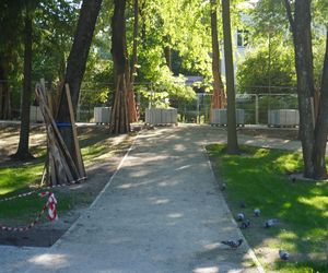 Rewitalizacja Parku Planty w Białymstoku latem 2025