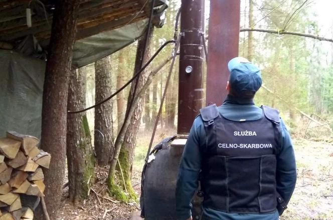 Królowy Most. Leśna bimbrownia zlikwidowana. Przepadło 200 litrów nielegalnego alkoholu