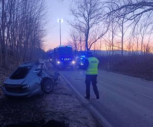 Sopieszyno. Audi roztrzaskało się na drzewie. 36-latek nie miał szans na przeżycie
