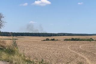 Pożar młodnika w Witnicy. Na miejscu 12 zastępów straży pożarnej, w drodze samoloty gaśnicze