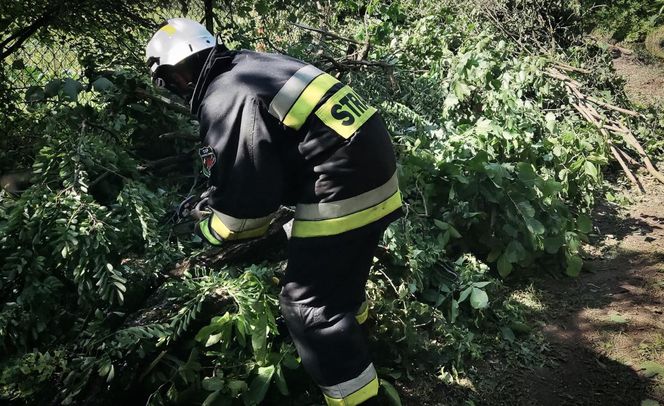 Weekendowe nawałnice na Podkarpaciu