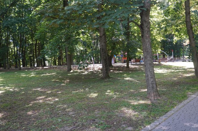 Park Miejski w Sandomierzu