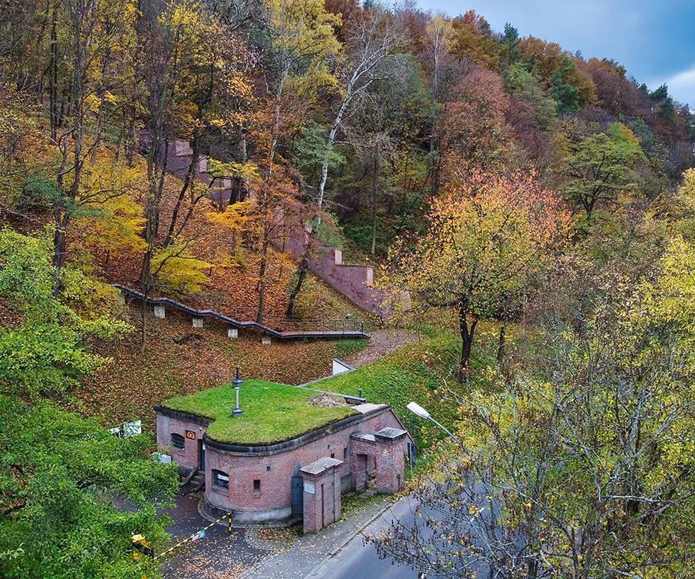 To najstarsze miasto na Podkarpaciu i jedno z najstarszych w Polsce 