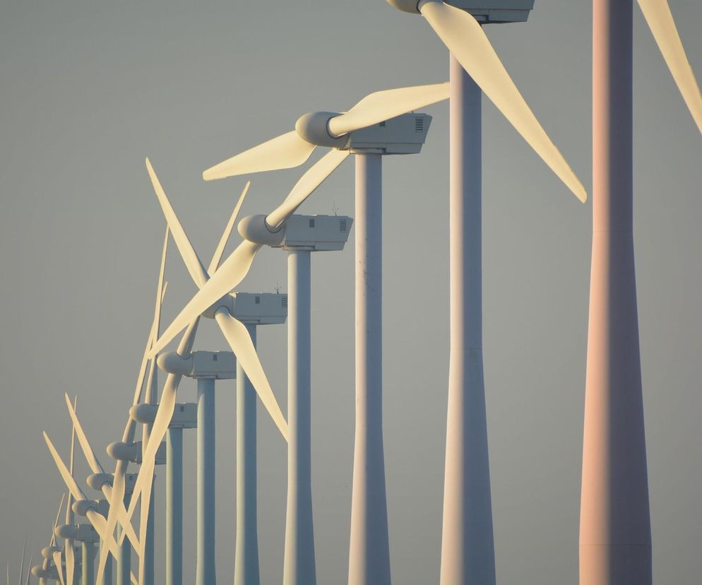 Rząd zadeklarował inwestycje m.in. w energetykę wiatrową