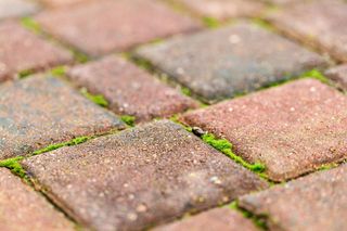 Siostra Henia z Podlasia tak usuwa mech z kostki brukowej. Już po 3 dobach nie ma śladu po mchu. Domowy sposób na mech na kostce brukowej