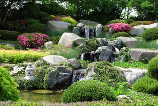 Skalniaki: rosliny i kamienie w ogrodowej kompozycji