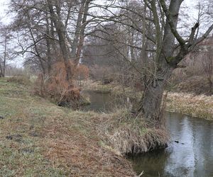 Spacer doliną Bystrzycy na lubelskim Wrotkowie