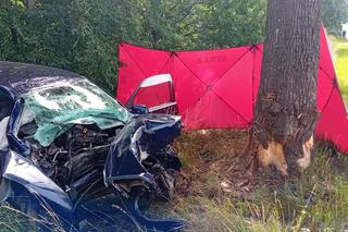 Volkswagen roztrzaskał się na drzewie