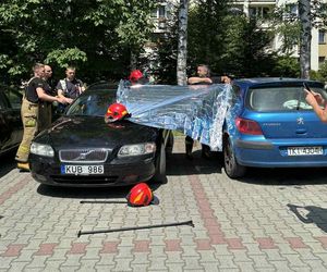 Szok w Małopolsce! Zostawili psa w nagrzanym samochodzie i poszli zwiedzać Muzeum Auschwitz-Birkenau