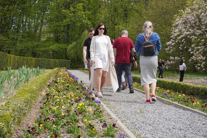 Ogród Botaniczny w Lublinie