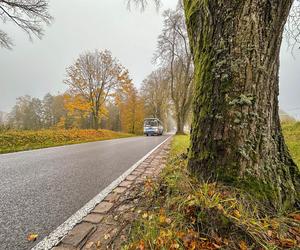 Pancerny Zbyszek miał furę szczęścia. Przysnąłem i palnąłem w drzewo