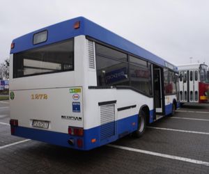 Katarzynki 2024 - wystawa autobusów przy Galerii Panorama