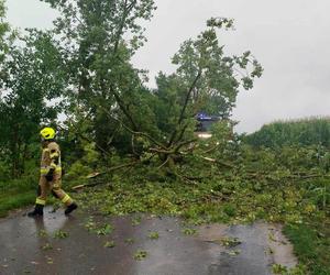  Burzowa noc w regionie Świętokrzyskim! Grad, połamane drzewa, zalane ulice