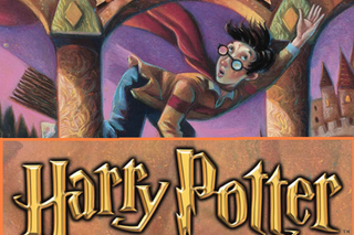 Lekcje OKULTYZMU i magii w kieleckiej bibliotece? Rodzice nie chcą Harry’ego Pottera!
