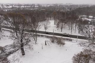 Tak wygląda Wrocław pod śniegiem [ZDJĘCIA]