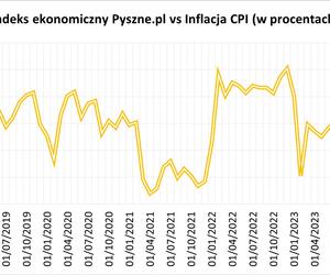 raport pyszne.pl