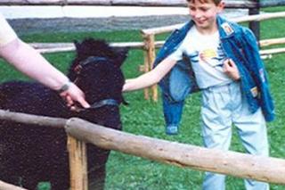 Władysław Kosiniak-Kamysz