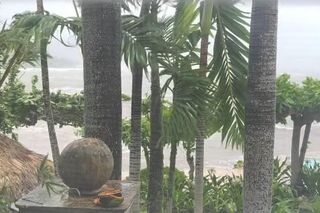 Aleksandra Żebrowska