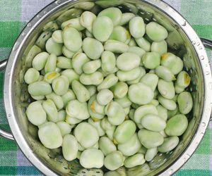 Bób: jak i ile gotować? Prosty przepis na idealnie ugotowany bób