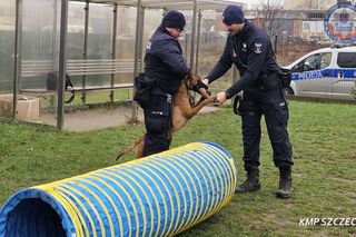Nowe psy w zachodniopomorskiej policji