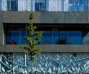 Ambasada Niderlandów w Warszawie