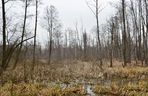 Nowe rezerwaty przyrody w woj. lubelskim 2025